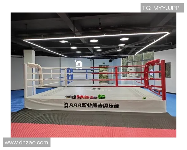 无限制自由搏击的魅力与挑战探讨之旅