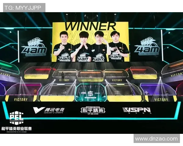 和平精英深度解析：RNG战队的比赛策略与经验分享